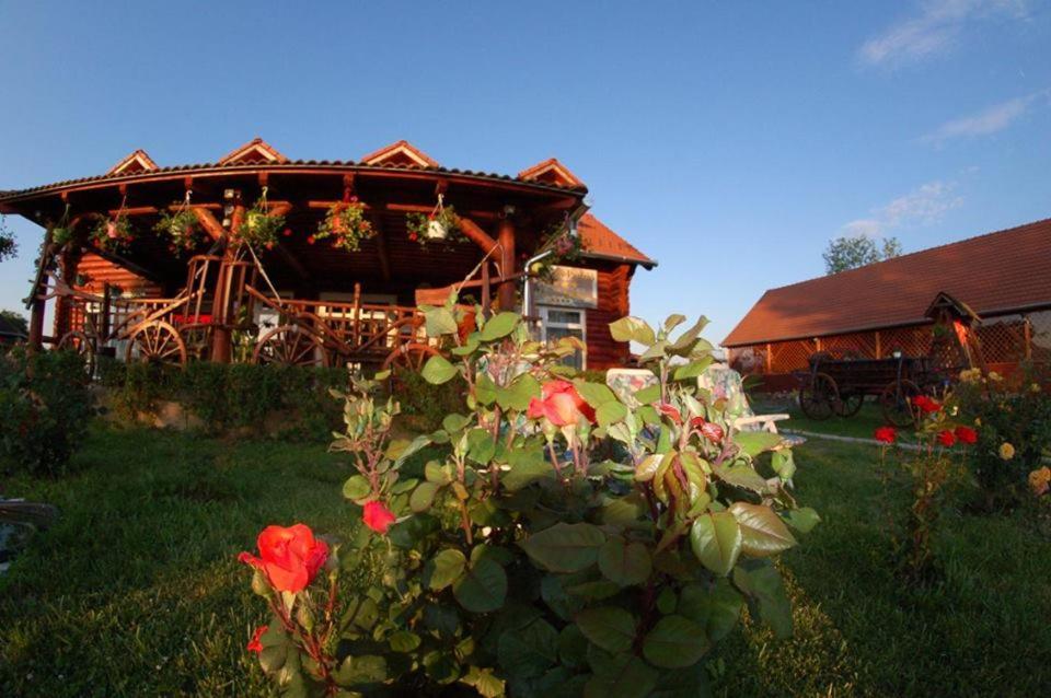Roenk-Wellness Panzio Mezopeterd B&B 외부 사진